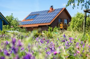 solar panels
