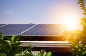 solar panels