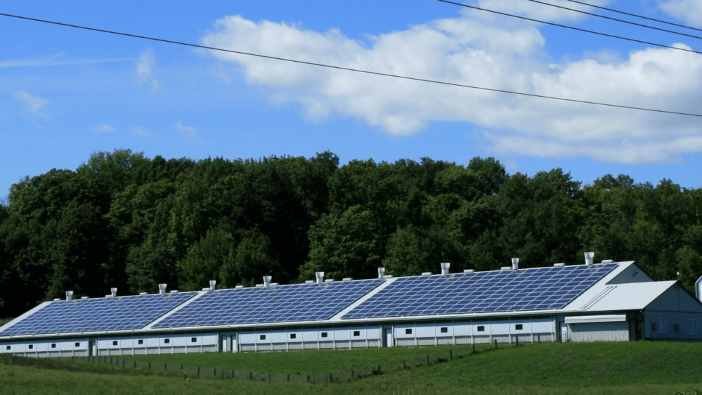 Starlight Solar | Commercial Solar Solutions | Residential Solar Panels | Solar Incentives | Solar Panel Cost | Solar Panel Installer | Solar Panel Installation | Solar Panel Maintenance | Solar Technology and Maintenance | Top Solar Company | Off-Grid Solar Power Systems in Texas