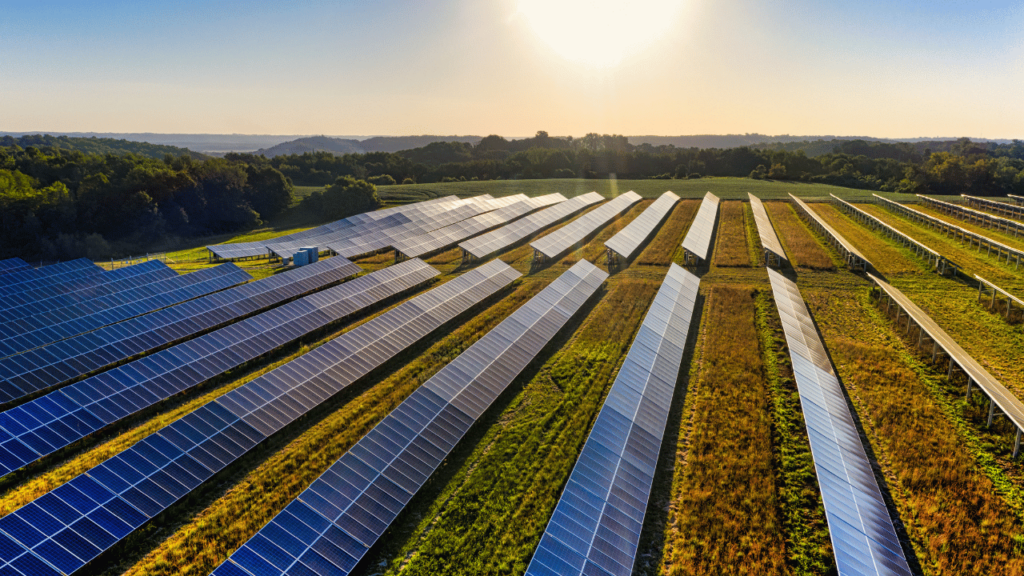 Starlight Solar | Commercial Solar Solutions | Residential Solar Panels | Solar Incentives | Solar Panel Cost | Solar Panel Installer | Solar Panel Installation | Solar Panel Maintenance | Solar Technology and Maintenance | Top Solar Company | Fixed Tilt Ground Solar Arrays in Texas